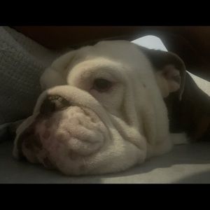 Meet your Posher, Dannyl